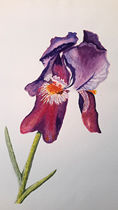 Member Painting From Online Watercolor Course